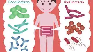 Common Food Poisoning Bacteria part 1