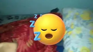 rotina da manhã 🌞+ sobre o tour pela casa!