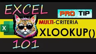 Multiple criteria XLOOKUP - Excel 365 Tutorial