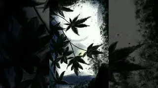 Art by- lavi