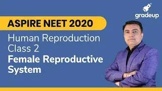 Zoology | Human Reproduction Class 2 | Female Reproductive System | Class 12 Biology |NEET | Gradeup
