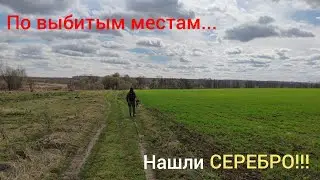 По выбитым местам. Пустые не остались! коп, весна 2024.
