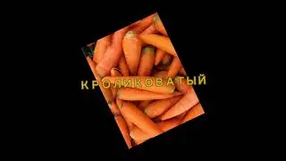 Второе интро для лучшего друга Кроликоватого