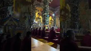 Have you ever thought about traveling to BHUTAN?