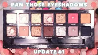 PAN THOSE EYESHADOWS 2022 UPDATE #1 I Very exciting update!