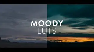 Moody LUT Pack | 30 Unique Film LUTs for Sony, Panasonic and RED