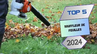 Top 5 : Souffleur de Feuilles en 2024