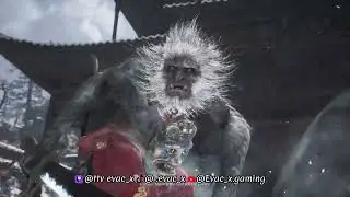 Dust Mite Round 2 #sunwukong #fyp #blackmythwukonggameplay #gaming #blackmythwukongbossfight