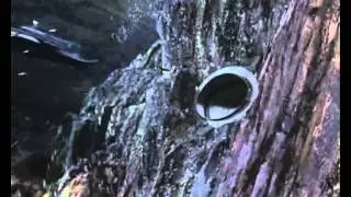 Stingray (Opening Theme).AVI