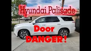 2021 Hyundai Palisade Issues Danger! Cut Laceration Door Issue OUCH! Easy Temp Fix KIA Lemon hurt