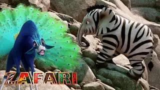 Working Together Despite Our Differences 💪| ZAFARI | Full Episodes | Animal Friends
