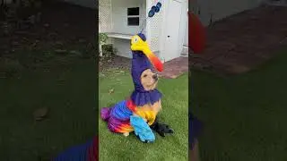 My dogs best Halloween costume yet!