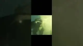💫Последний всеобщий предок. Вспомнил , что он не один.💫