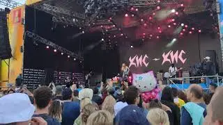 Кис-кис - Подруга. Нашествие 2019