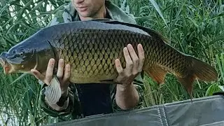 КАРПФИШИНГ. ЛОВЛЯ КРУПНОГО КАРПА. ВЫЕЗД НА КАРПОВЫЙ ВОДОЕМ. ДЕНЬ 3