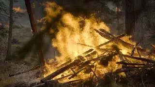 The Great Outdoors: Pile and slash burning to reduce wildfire risk
