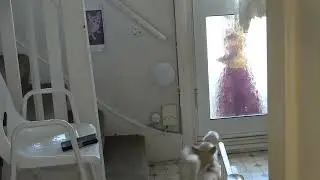 Innocent Angel-Girl, playing with Jerry and Munna, (Lulu and Jem) at the Main Door.