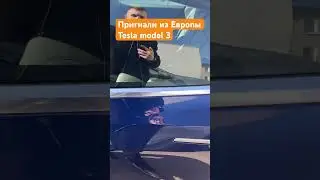 Пригнали Теслу из Европы под ключ