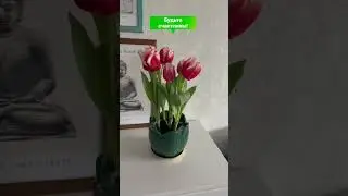С 8 Марта!