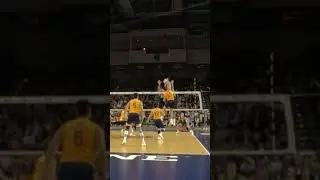 Stuffed, Blocked, Over and Over, It Wont Stop! Hawaii Shuts down UCI #shorts #volleyball #haikyuu