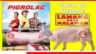 Pano Madadagdagan ang Kita sa Pag-aalaga ng Baboy | Seminar feat. Mr. Coco M.