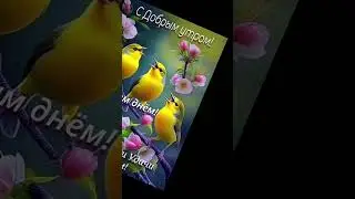 С ДОБРЫМ УТРОМ !  С НОВЫМ ДНЕМ ! ... 