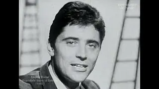 Sacha Distel - Scandale dans la famille (1965)