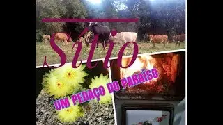 UM PEDAÇO DO PARAÍSO/ FÉRIAS NO SÍTIO. / parte 1.