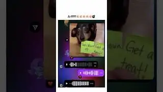 Cursed Discord Memes