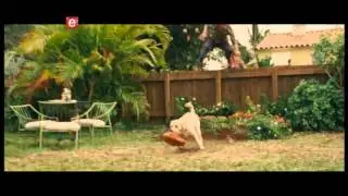 Marley And Me