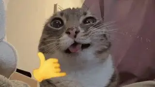 enustik ᒷ∴ᒷ∷ʖ𝙹↸|| ∷ᒷᒲ╎ ̇/