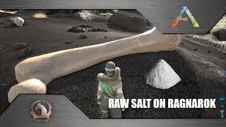 Ark Survival Evolved - Raw salt on Ragnarok