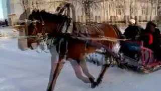 VLOG: Великий Устюг| Когда нечего делать...