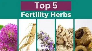 TTC Tips: Boost Your Fertility With These Natural Fertility Herbs