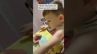 Изучаем анатомию с Вовкой Вовковичем 2 года и 8 месяцев