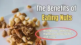 Benefits of Nuts | Top 7 Healthiest Nuts