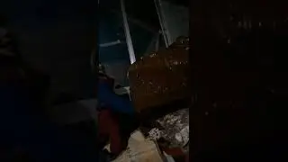 #shorts আমার ভাতিজি আস্তে আস্তে বলতে শিখছে   || By Engineer Sahajan