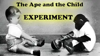 Kellogg's Study - The Ape and the Child