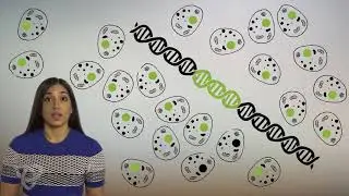 How does cancer start?
