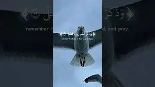Beautiful Quran Recitation #shorts #islamic_video #islam