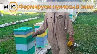 Формируем нуклесы в зиму