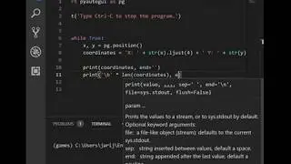 Python programming a mouse coordinates tracker