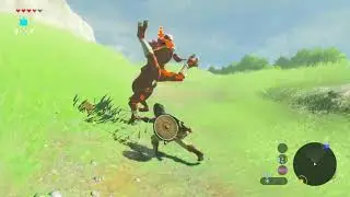 The Legend of Zelda: Breath of the Wild #13 - Der BOOMERANG