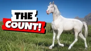 Ride the Albino (Cremello) Arabian in Chapter 6