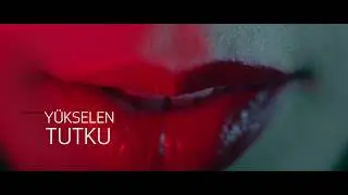 Yeni Alfa Romeo Stelvio | Yükselen Tutku