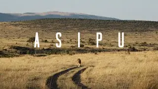From Warrior to Elder: The Transformation of a Maasai Legend