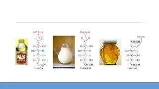 BIOMOLECULAS: CARBOHIDRATOS, FUNCIONES, CARACTERISTICAS Y CLASIFICACION. EN 1O MINUTOS!!