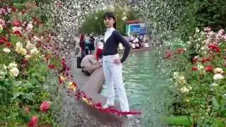 Слайд-шоу 