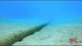 "Russian ‘sabotage’ of key undersea cables" / USA Very Upset