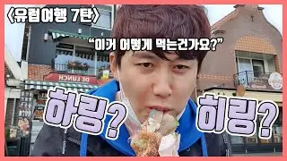 [유럽여행 7탄] 네덜란드가면 꼭 먹어야 되는 생선 샌드위치?? 하링??